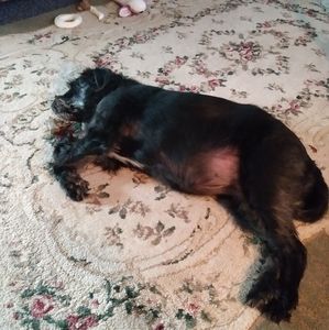 Meet your Posher, Laura